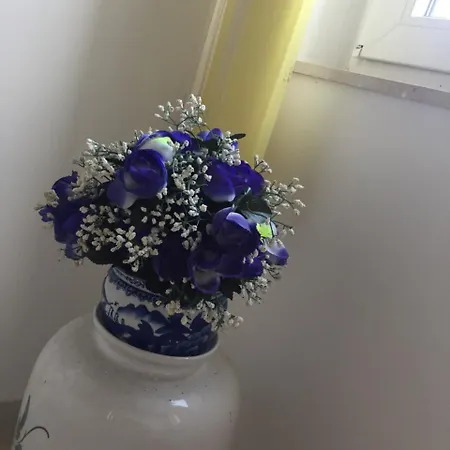 梅里公寓 * 比比涅
